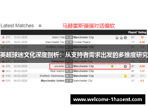 英超球迷文化深度剖析：从支持者需求出发的多维度研究